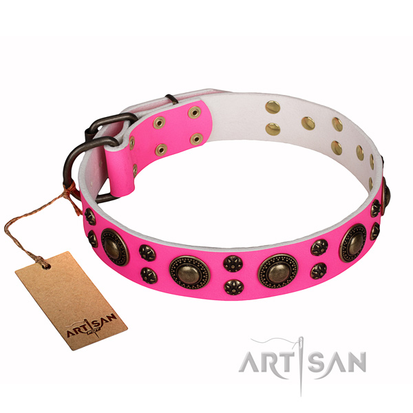 Basic training dog collar of reliable full grain genuine leather with adornments
