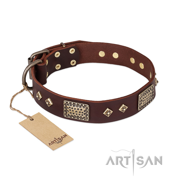 Top notch full grain genuine leather dog collar for daily walking