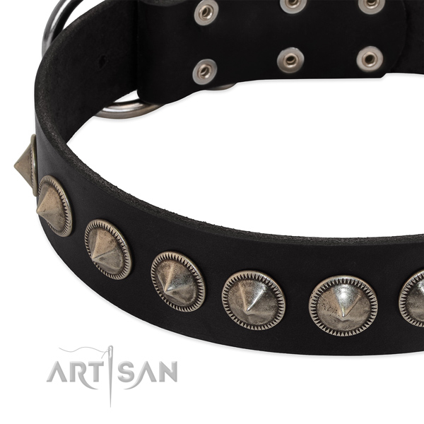 Daily use embellished full grain leather collar for your dog