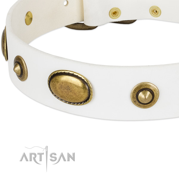 Corrosion resistant buckle on leather dog collar for your canine