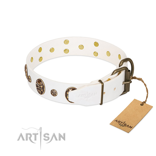 Durable fittings on leather dog collar for your pet