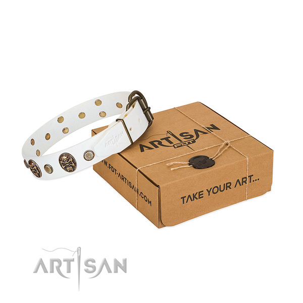 Rust-proof fittings on leather dog collar for walking