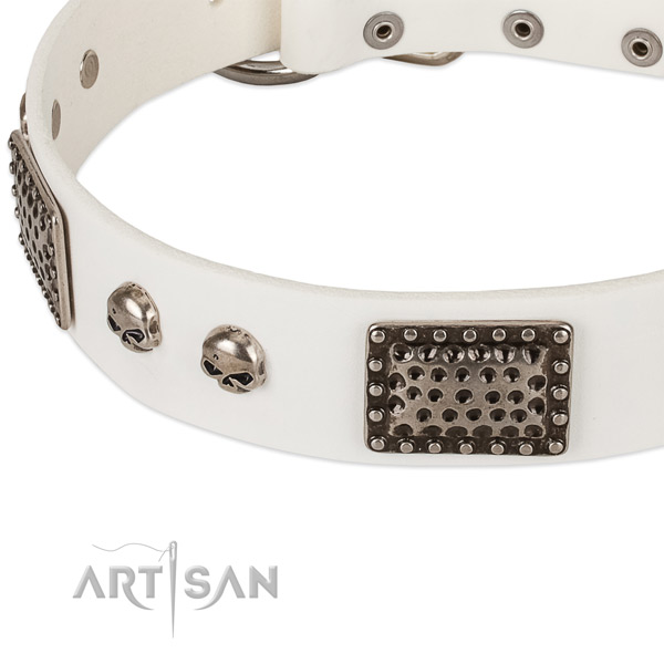 Rust resistant D-ring on genuine leather dog collar for your pet