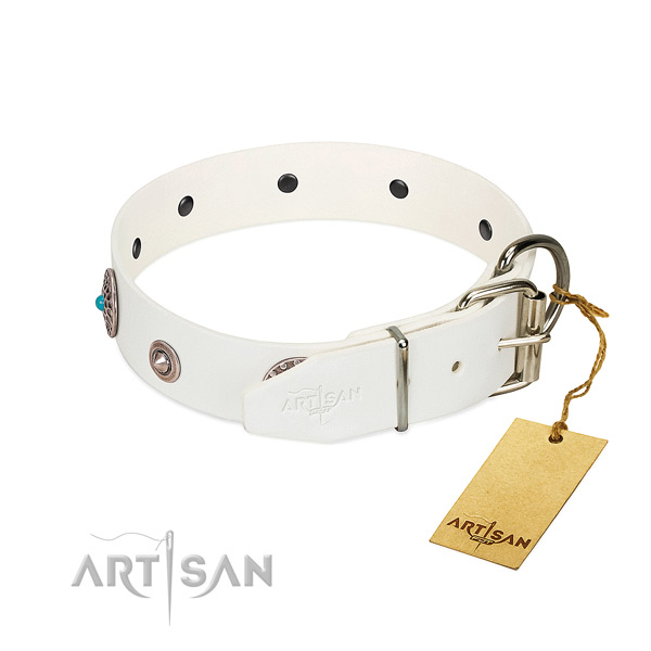 Stylish design studded natural leather dog collar