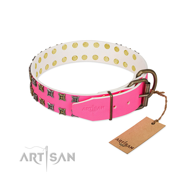 Leather collar with stunning embellishments for your canine