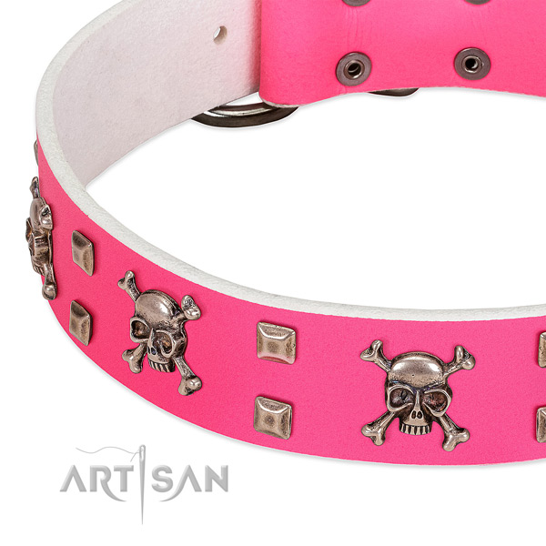 Corrosion resistant hardware on full grain leather dog collar