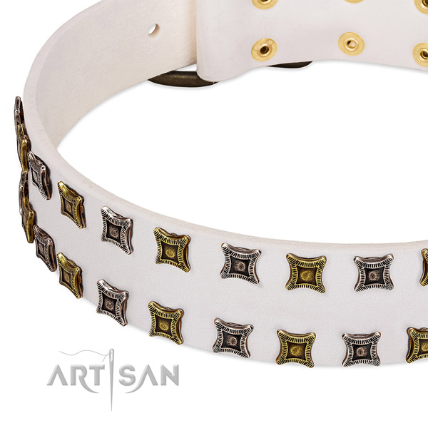 Genuine leather dog collar with embellishments for your stylish dog