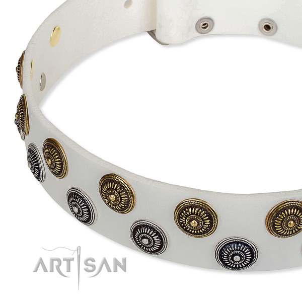 Easy wearing studded dog collar of durable full grain leather