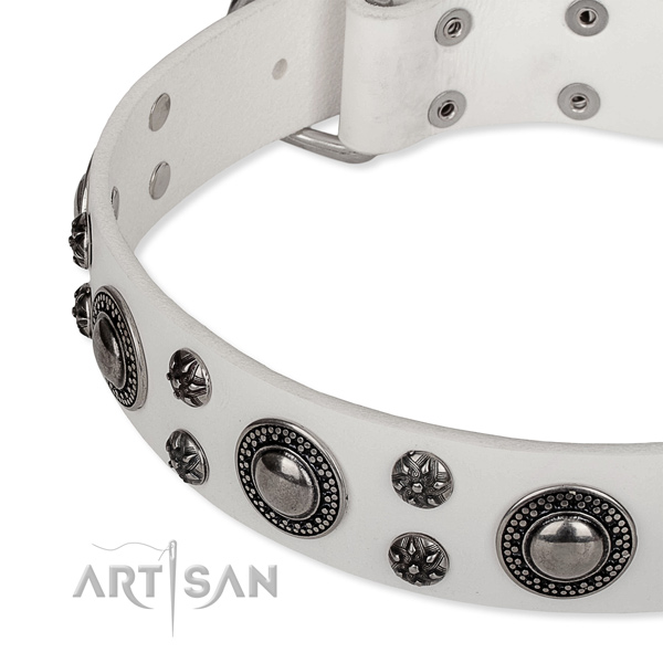 Handy use decorated dog collar of strong full grain genuine leather