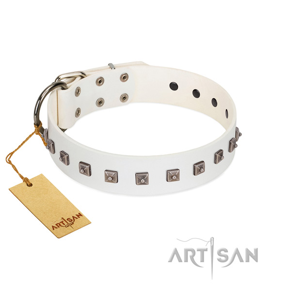 Fashionable adorned genuine leather dog collar
