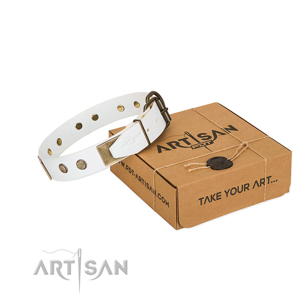 Rust-proof traditional buckle on dog collar for basic training