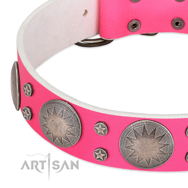 Impressive leather dog collar with rust-proof decorations