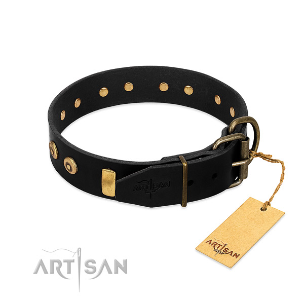 Full grain leather dog collar with fashionable studs for handy use