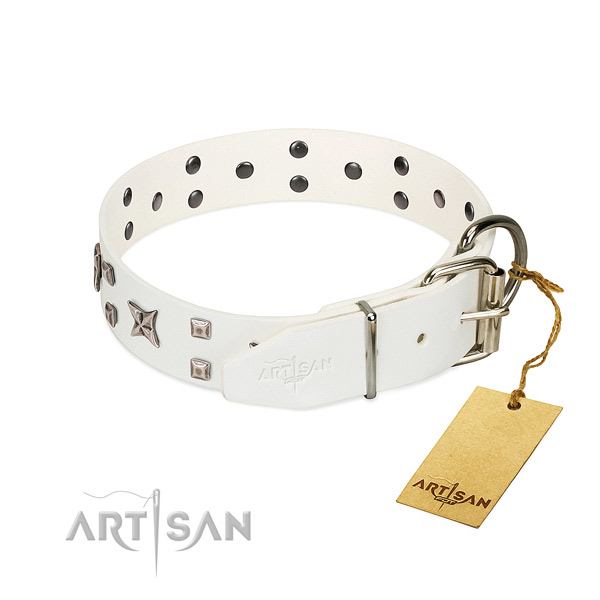 Quality natural leather dog collar with top notch studs