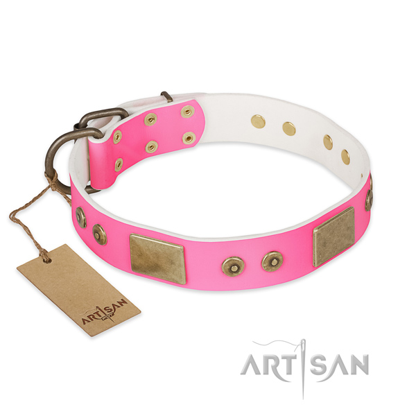 Easy wearing leather dog collar for everyday walking your canine