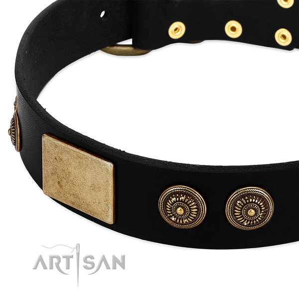 Durable fittings on full grain natural leather dog collar for your pet