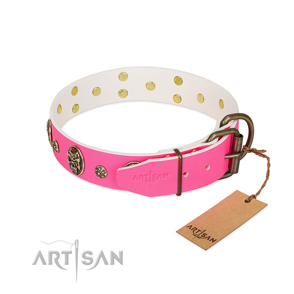 Rust-proof D-ring on full grain natural leather collar for daily walking your doggie