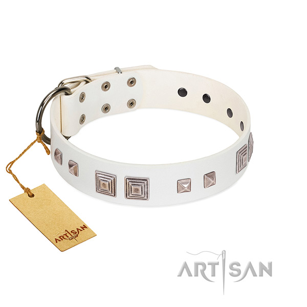 Comfy wearing top rate leather dog collar