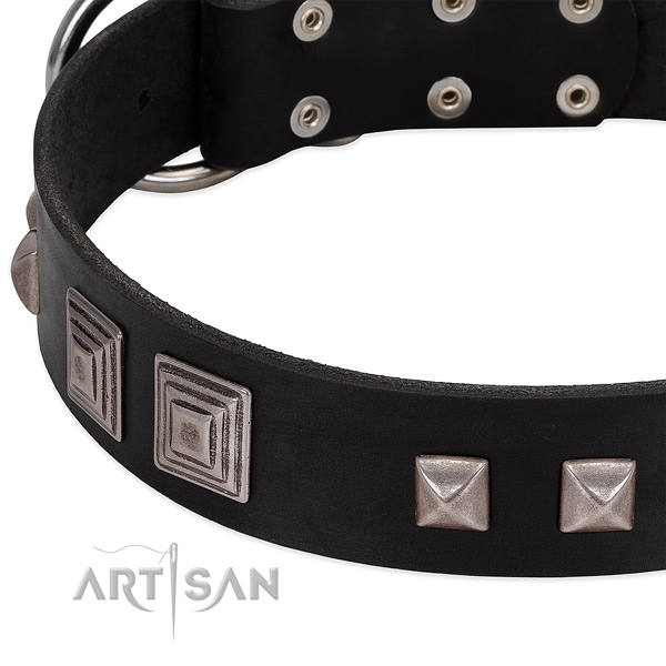 Rust resistant traditional buckle on full grain natural leather dog collar for walking