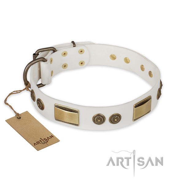 Top notch leather dog collar for fancy walking