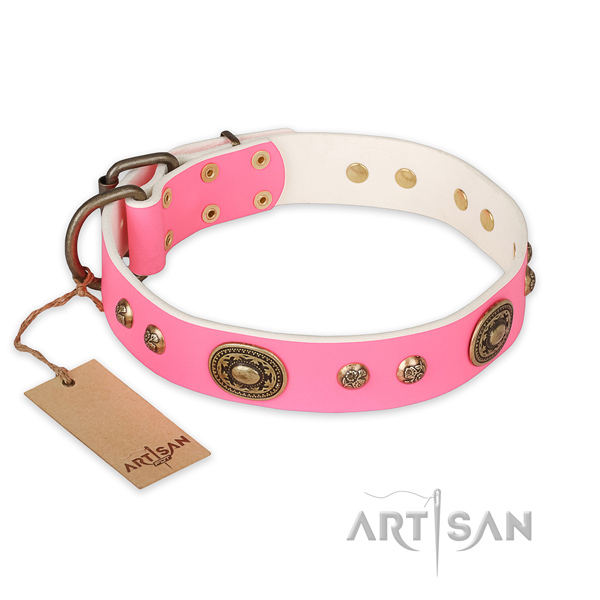 Top notch full grain natural leather dog collar for everyday use
