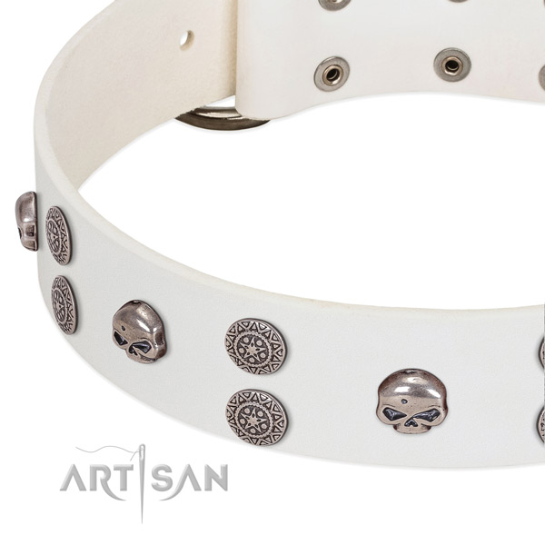 Top notch full grain genuine leather dog collar with remarkable studs