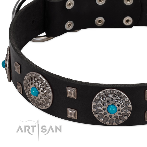 Flexible full grain leather dog collar with remarkable studs