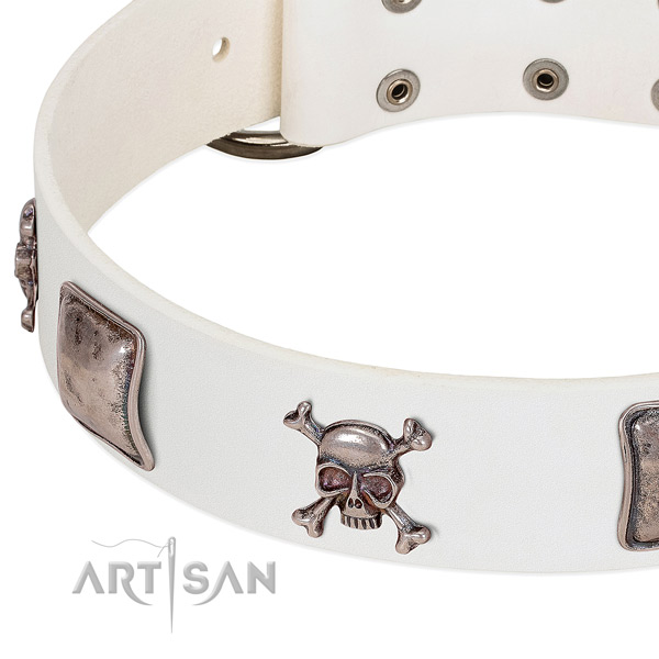 Rust-proof buckle on genuine leather dog collar