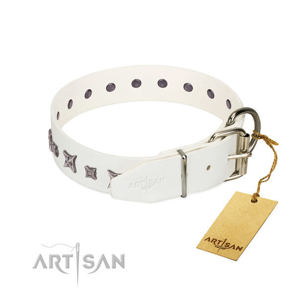 Genuine leather dog collar with stylish design adornments