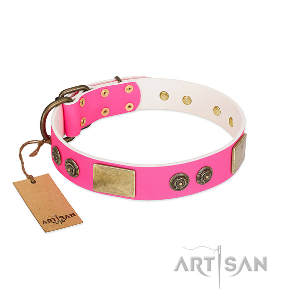 Top notch leather dog collar for comfy wearing