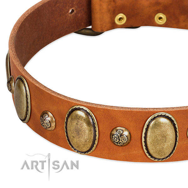 Leather dog collar with exceptional decorations