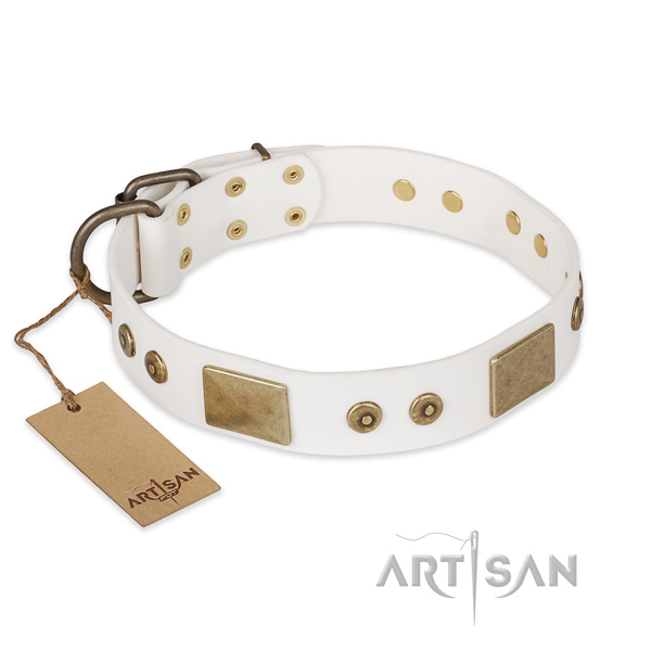 Trendy natural leather dog collar for stylish walking