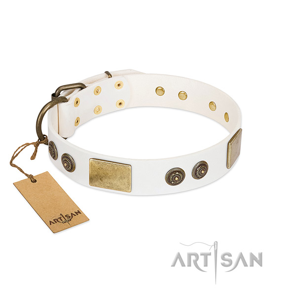 Inimitable genuine leather dog collar for daily use