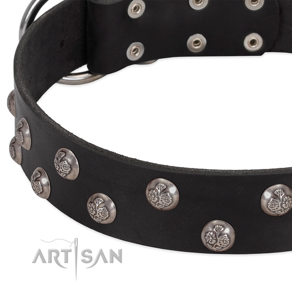 Full grain leather dog collar with corrosion proof hardware and embellishments