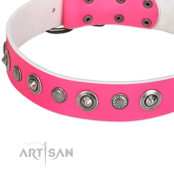Natural leather collar with durable buckle for your impressive canine