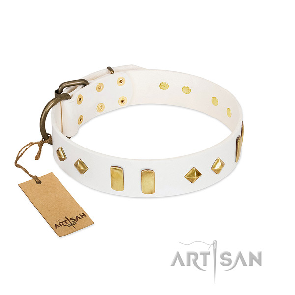Flexible full grain leather dog collar with durable fittings