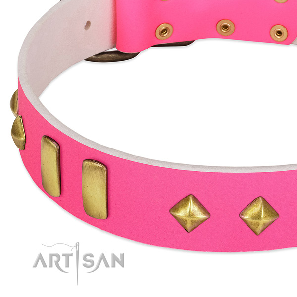 Full grain natural leather dog collar with corrosion proof D-ring for walking