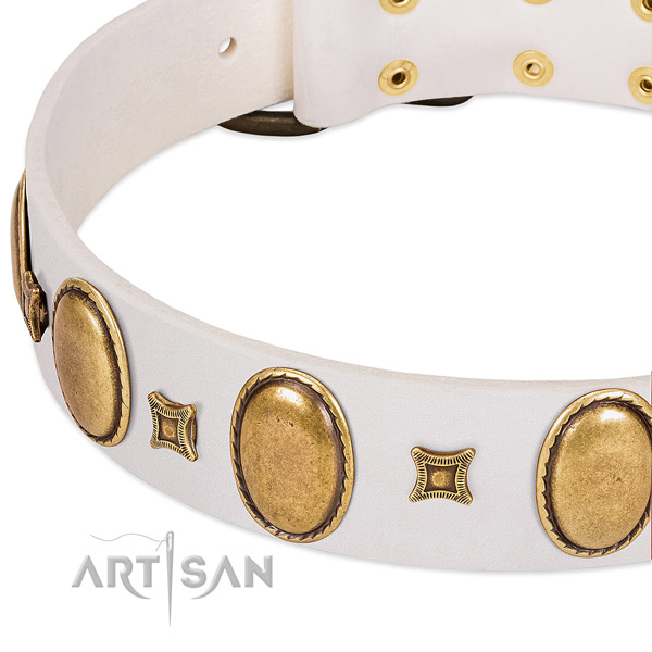 Full grain leather dog collar with durable traditional buckle for everyday use