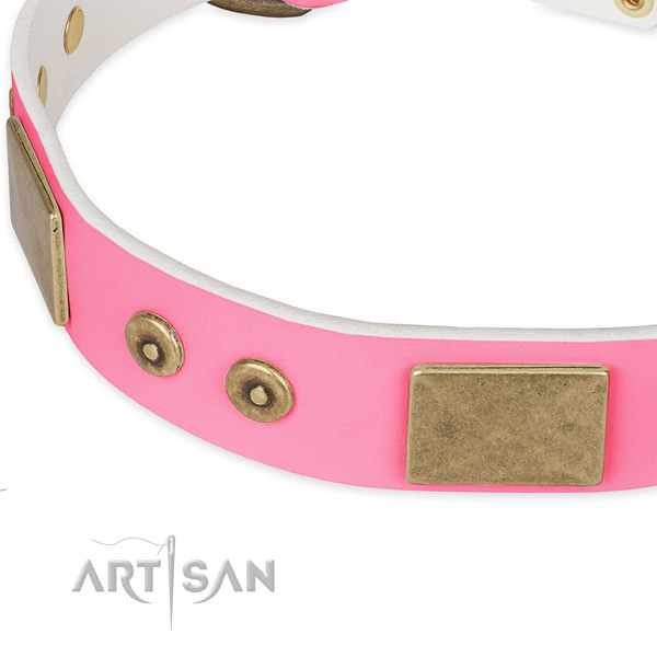Full grain genuine leather dog collar with studs for daily walking
