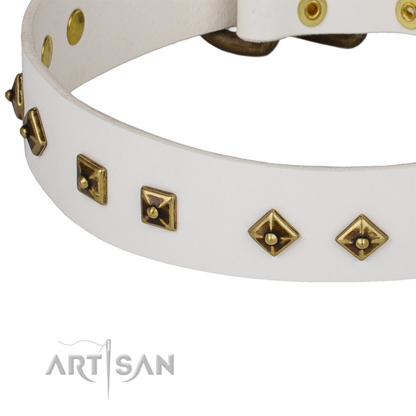 Stunning full grain natural leather collar for your impressive dog