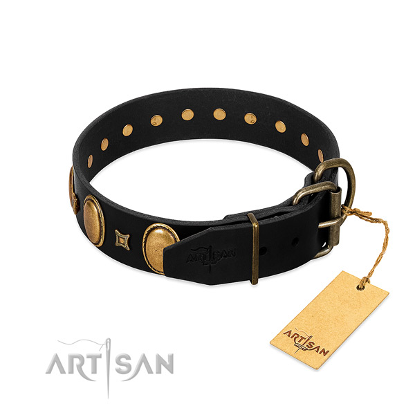 Corrosion resistant embellishments on comfy wearing dog collar
