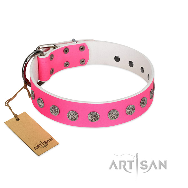 Exceptional decorations on natural leather collar for stylish walking your doggie