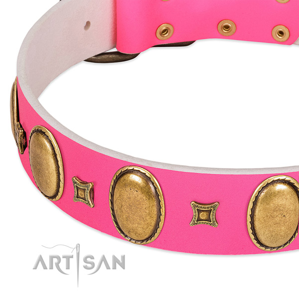 Top notch full grain leather dog collar with adornments for comfortable wearing