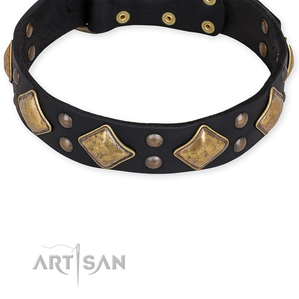 Full grain genuine leather dog collar with impressive reliable embellishments