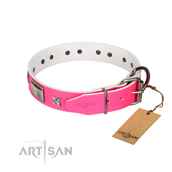 Amazing collar of leather for your canine