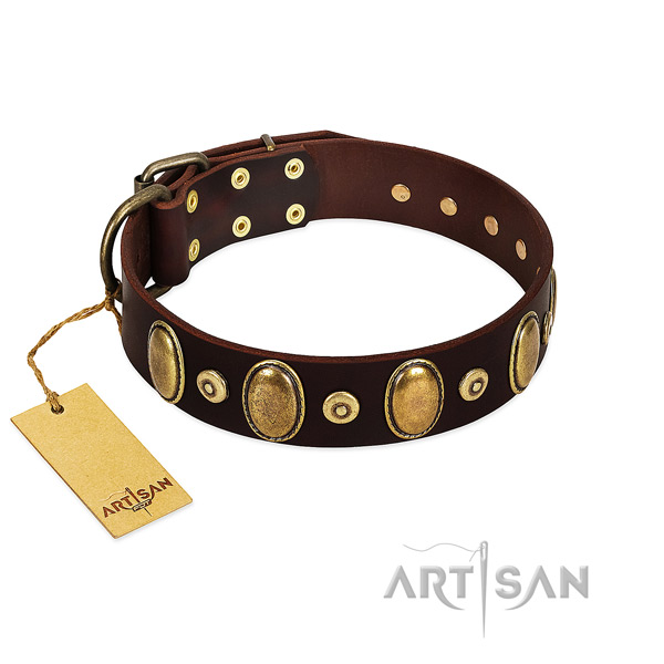 Comfy wearing dog collar of natural genuine leather