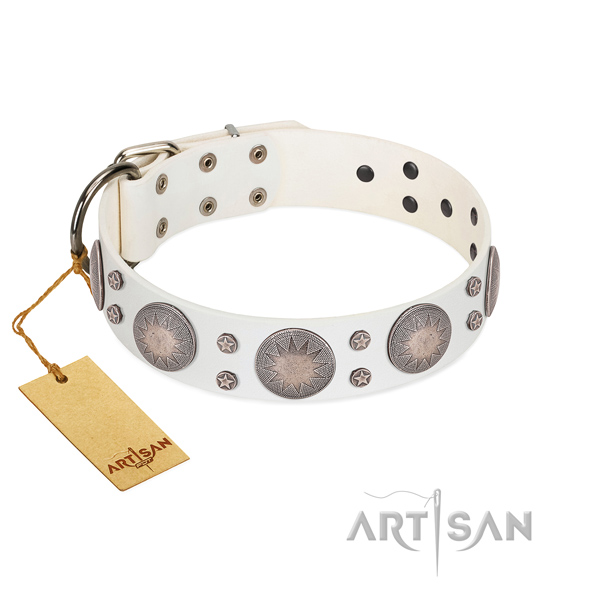 Quality full grain genuine leather dog collar with fashionable adornments