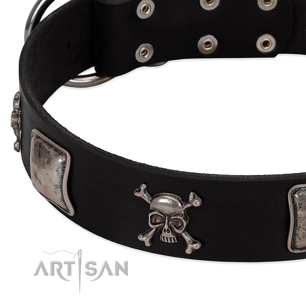 Durable hardware on natural genuine leather dog collar
