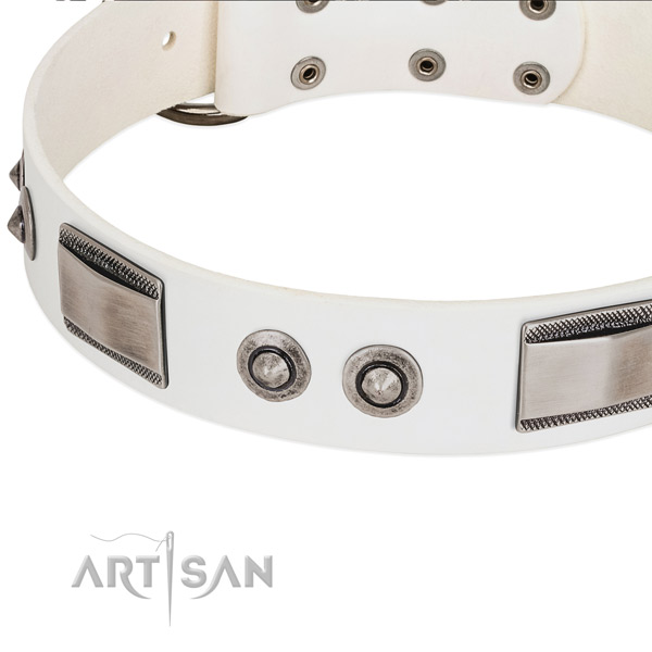 High quality leather collar with embellishments for your dog
