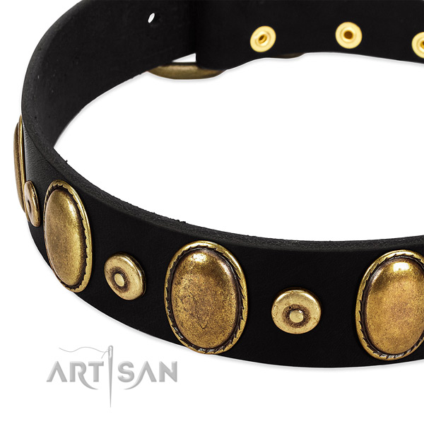 Adorned full grain genuine leather collar for your attractive doggie